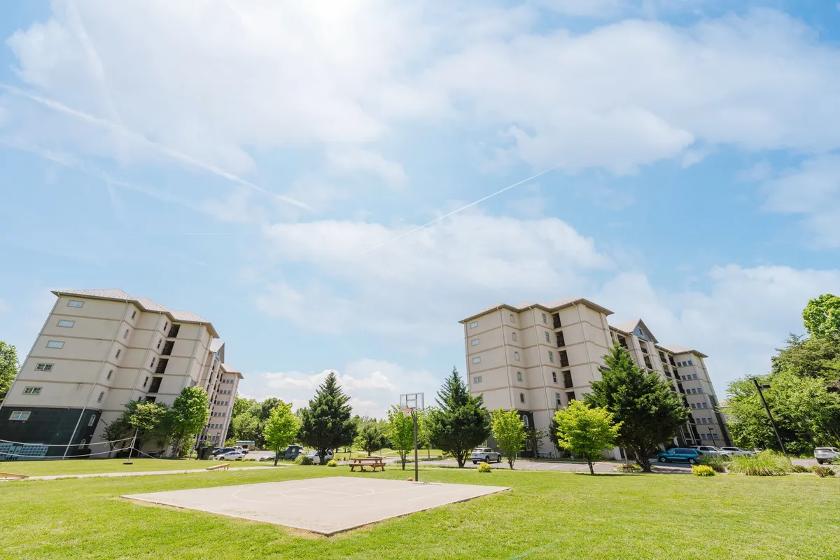 A wide view of the resort’s exterior grounds, showing two multi-story buildings, a green lawn, a basketball court, and mature trees under a clear sky. The area is set up for outdoor sports, casual gatherings, and enjoying the fresh air.
